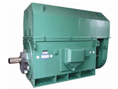 Y8006-8Y系列6KV高压电机